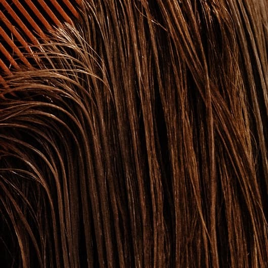 The Snip Subscription — 12 Month at Hair and Makeup by Shaina in Carle Place, NY